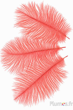 Strauss - 13-18 cm - lachs
